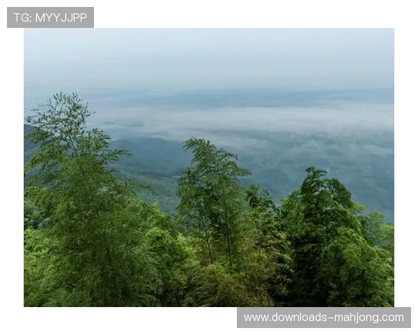 莫干山站斯巴达勇士赛创新障碍引入毛竹搬运 融合地方文化特色 莫干山站斯巴达勇士赛创新障碍引入毛竹搬运 融合地方文化特色